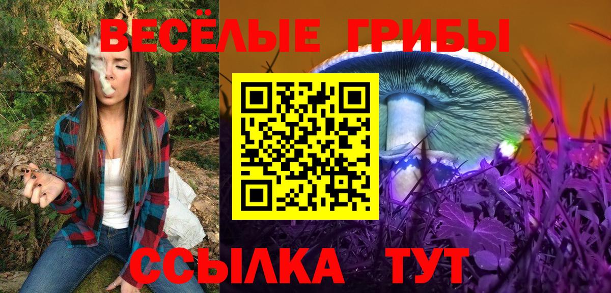 Псилоцибиновые грибы прущие грибы Новокуйбышевск