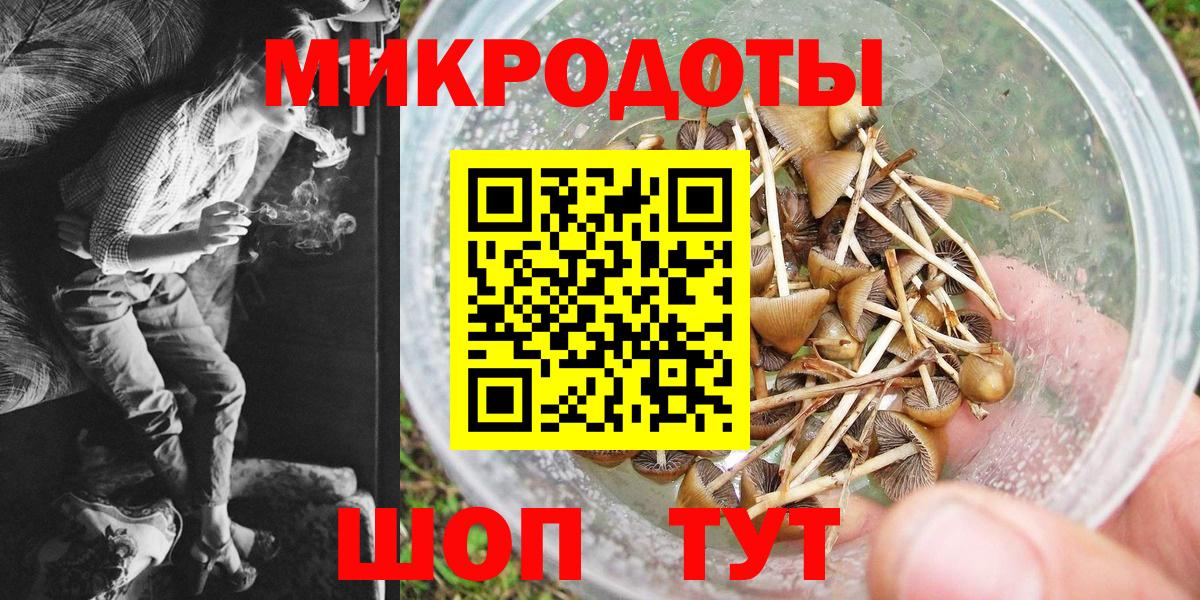 Псилоцибиновые грибы Psilocybe  Вход с VPN  Галлюциногенные грибы прущие грибы  Новокуйбышевск 