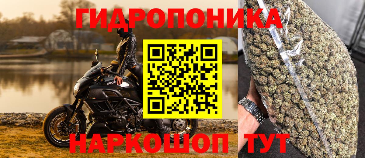 Бошки марихуана OG Kush  Конопля Bruce Banner  Вход с VPN  Канабис индика  Новокуйбышевск 