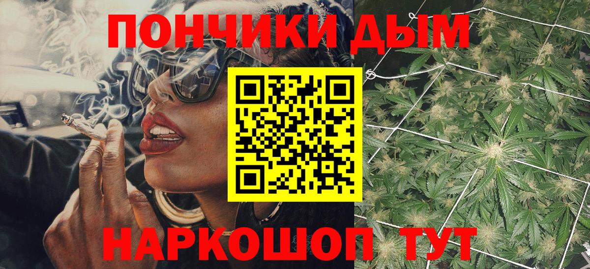 Каннабис сатива Новокуйбышевск